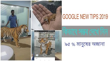 How to Look at Life Animals in your  space by Google Search?