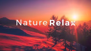 alm Nature Relax mix : study music, focus, think, meditation, relaxing music
