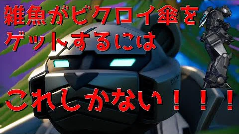 ビクロイ傘 ビクロイ傘