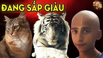 Thần Đồng Ấn Độ Tiên Tri, 2 Con Giáp Có Duyên Biết Mệnh, Bỗng Chớp Được Thời Đổi Đời GIÀU CÓ.