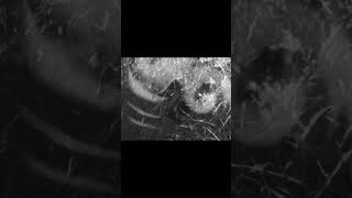 new LP by Through a Glass, Darkly #doomgaze #postrock #ambientmusic #newmusic