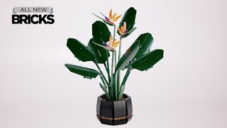 Lego Botanical Collection 10289 Bird of Paradise Speed Build