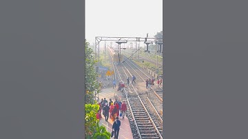 Emu Entering Railgate #shorts