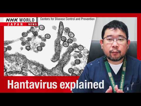 A health expert explains what hantavirus is and how it spreadsーNHK WORLD-JAPAN NEWS