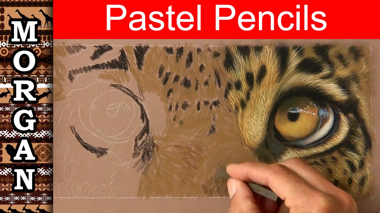 Learn How to Draw Fur with Pastel Pencils - wildlife art - Jason Morgan