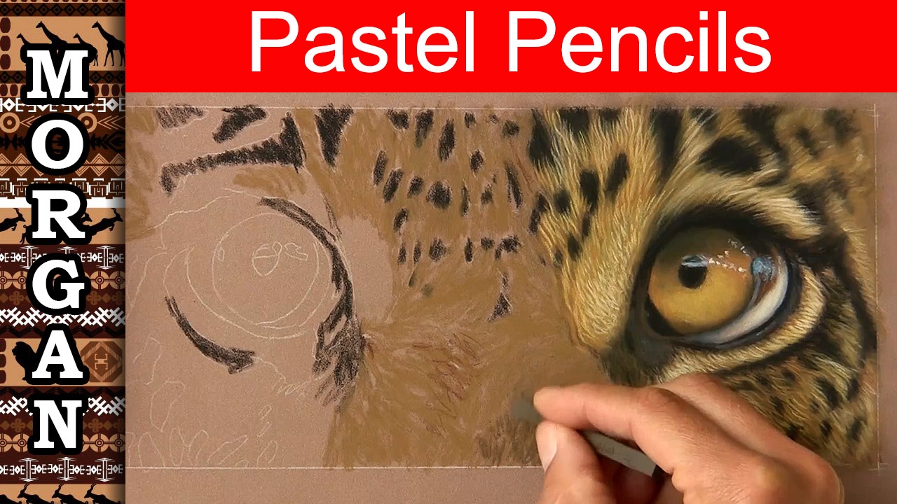 How to draw fur with pastel pencils, Drawing tutorial