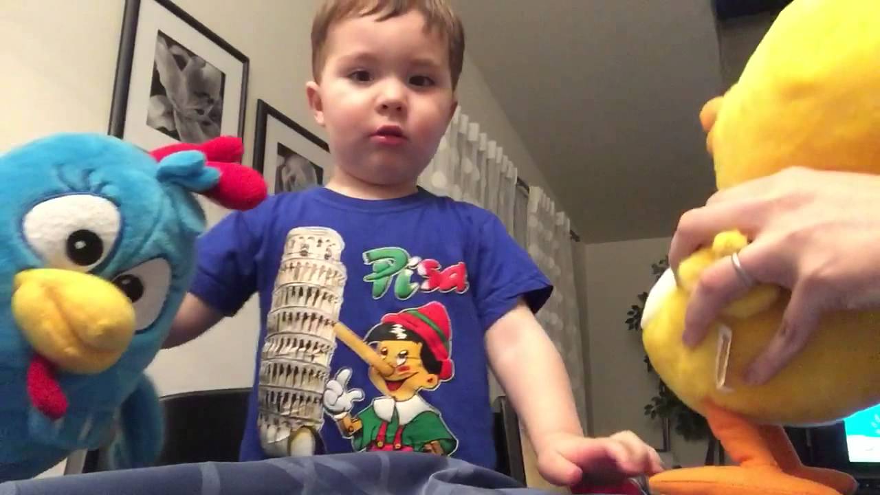 NOVOS AMIGOS: GALINHA PINTADINHA E PINTINHO AMARELINHO