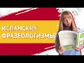 Фразы на Испанском. Устойчивые Фразы на Испанском Языке