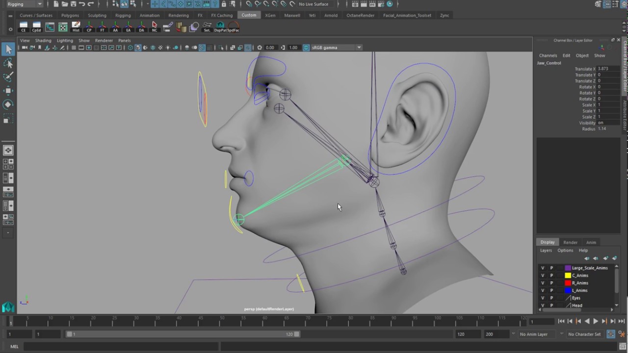 Rigging a Photorealistic Head for Performance Capture - Importing Your ...