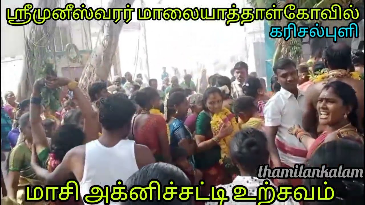 கரிசல்புளி;ஆக்ரோஷமாக சாமி வந்து ஆடிய பெண்கள்........