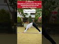 Practice suryanamaskara regular for better health    yoga health healthylifestyle love op