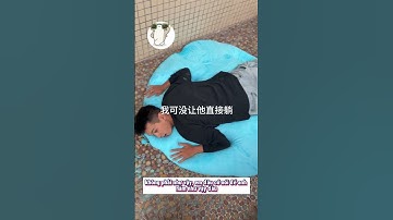 Tảng băng tuyệt vời như vậy đương nhiên  #haihuoc  #funny #shorts