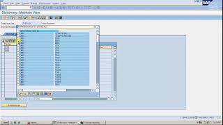 DATA DICTIONARY  VIEW  DATABASE