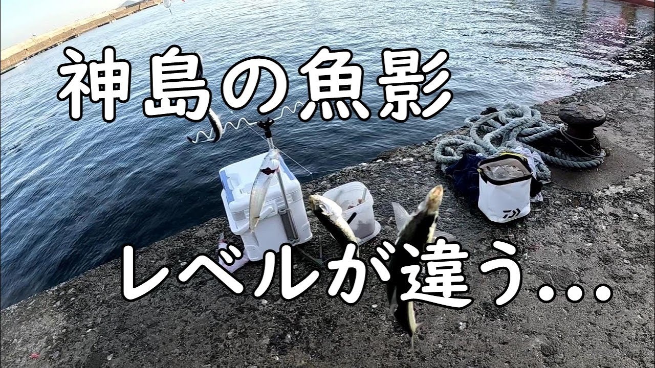 【サビキ釣り】１月の離島、魚影がヤバすぎた【アジ・イワシ爆釣】