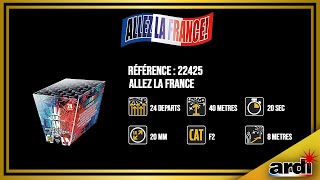 Feu d'artifice compact Allez la France