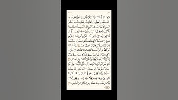 "الورد اليومي: 4 صفحات (105-106-107-108) لتجنب هجر القرآن | تذكير يومي مستمر #قرآن #تلاوة"