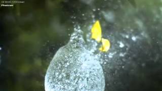 A water Balloon as captured by a High Speed Camera - 6000 FPS