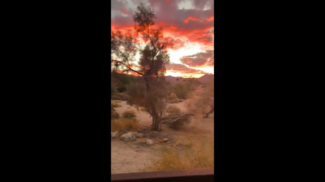 سورة الفجر برواية ورش للمقرئ العيون الكوشي الحزب 60