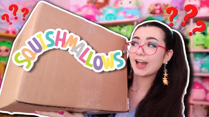 I bought a HIGHLY SUS Squishmallow mystery box 