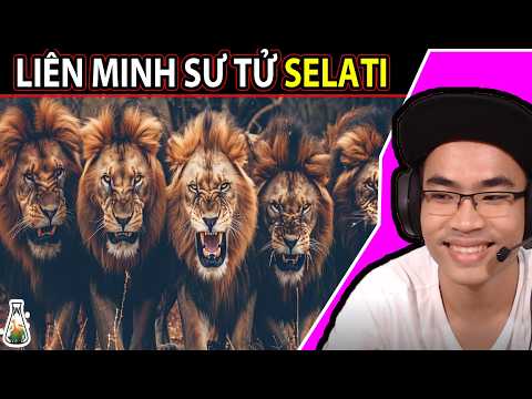 Liên Minh Sư Tử SELATI -Ác Mộng của Liên Minh Mapogo #HaSeriousReaction #DongVatFacts 149