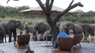 Somalisa, Elefanten im Camp, Hwange Nat.Park