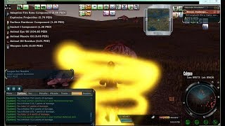 Entropia slideshow globals and hofs July 2014