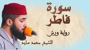 سورة فاطر | تلاوة هادئة ومتقنة للشيخ محمد سايد | برواية ورش