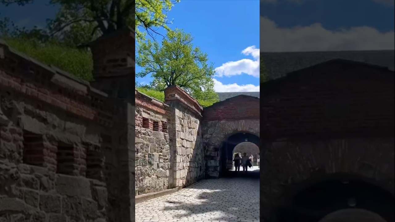 The Points Guy on Viking's Land Extensions