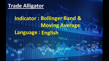 Indicator Bollinger Band & Moving Average