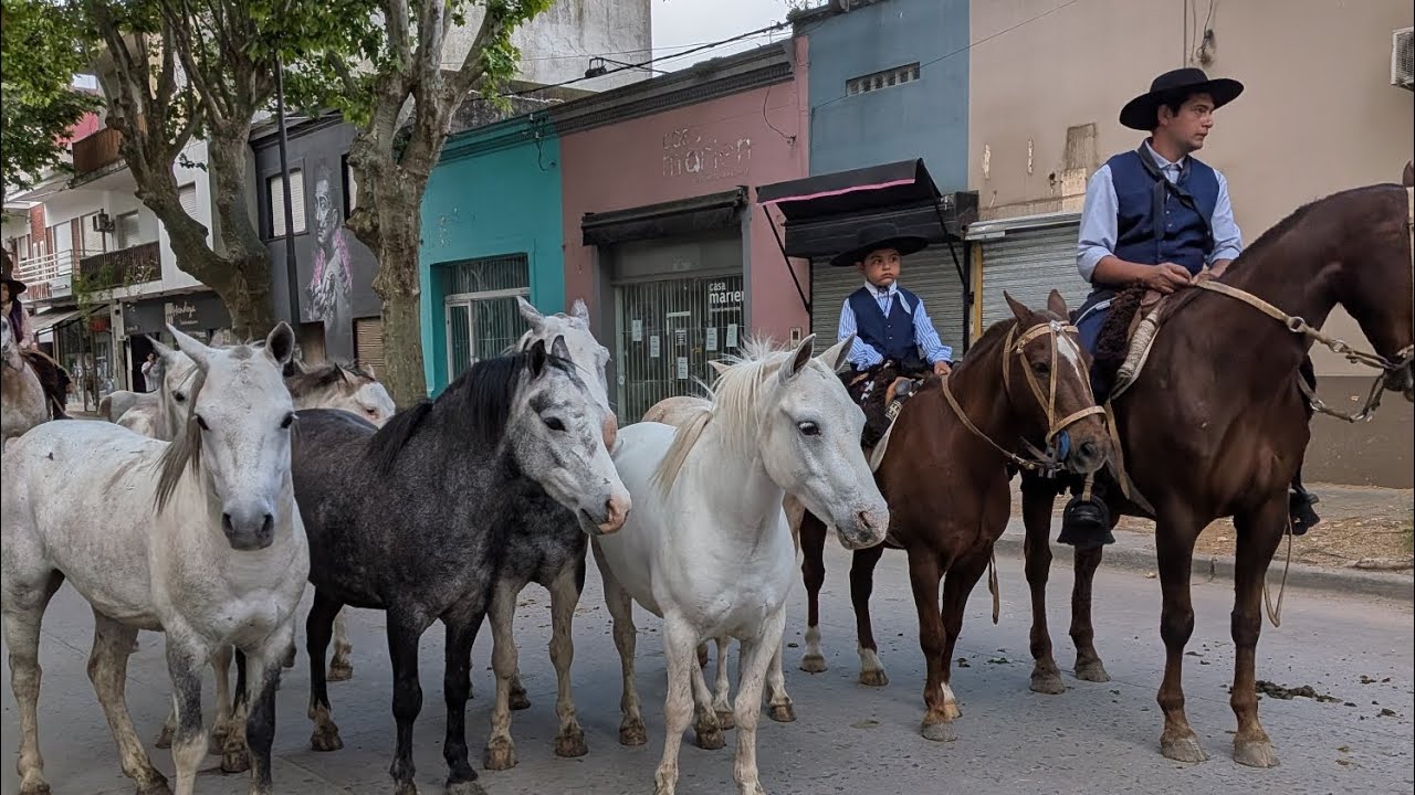Desfile día de la tradición Chascomús parte 2