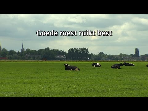 Video: Is varkensmest een goede meststof?