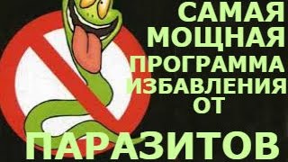 Сода и паразиты. Рецепт Чингис-хана. Сода и чеснок. Наверняка. Сода и паразиты. Рецепт Чингис-хана. Сода и чеснок. Наверняка.