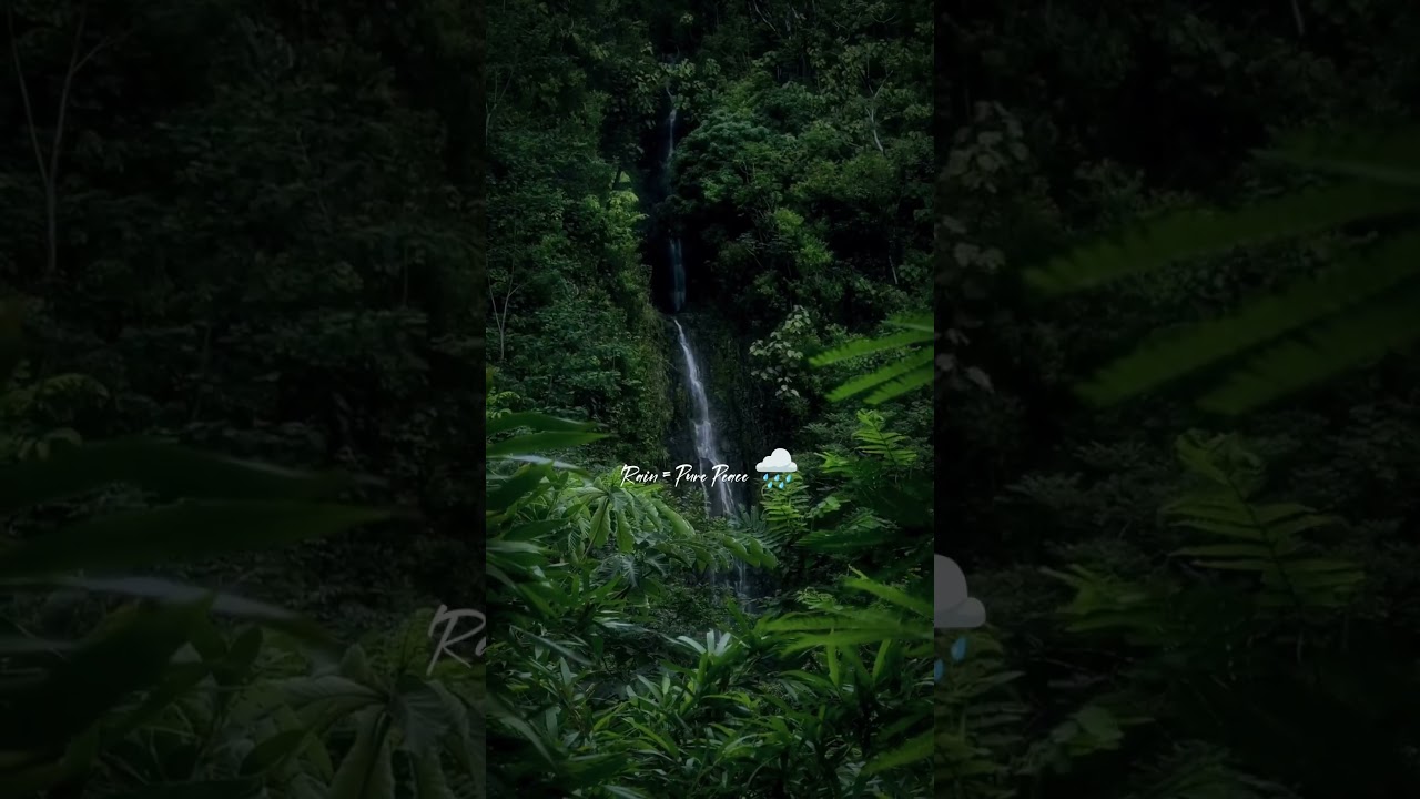 Monsoon is love 🌧️😌