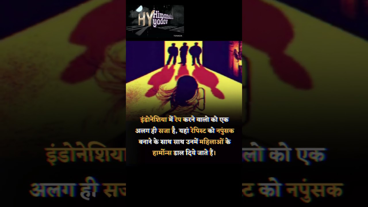 indonesia repist law 