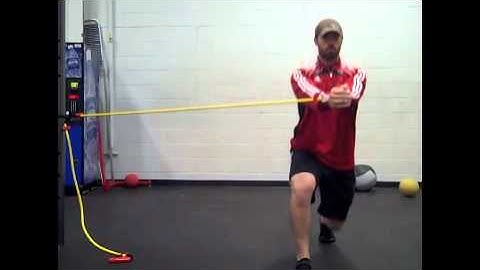 Anti-Rotation Split Squat