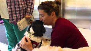 Pet Therapy Program Exemplifies Atlantic Health System’s Trusted Network of Caring™