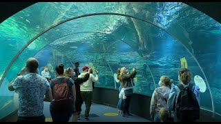 Nausicaa The Largest Aquarium in Europe 4K/ Visit to the Biggest Aquarium in Europe France Full Tour