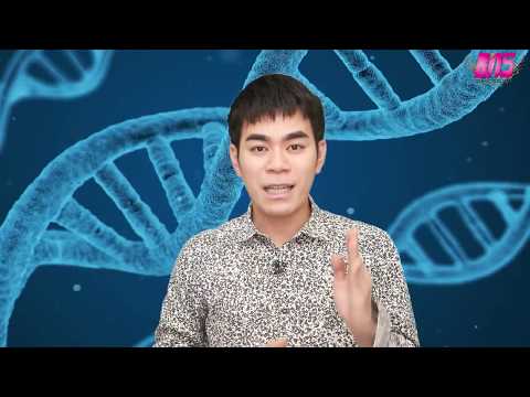 พันธุศาสตร์ : การแสดงออกของgene Ep.1/4 "protein synthesis" โดยครูบาส