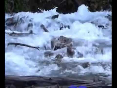 Alexandru Jula - N-am sa uit nicicand iubirea