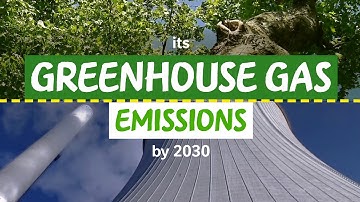 Nestlé’s Net Zero Roadmap