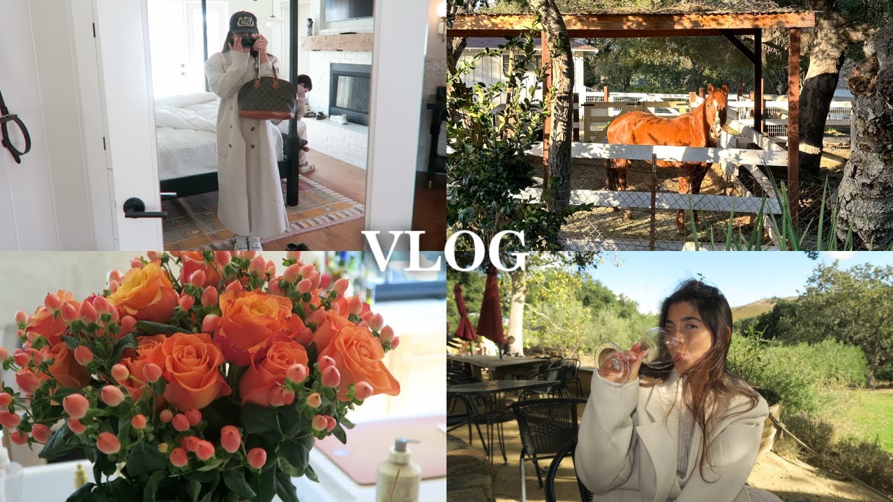 VLOG - travel with me + thanksgiving 2023!!