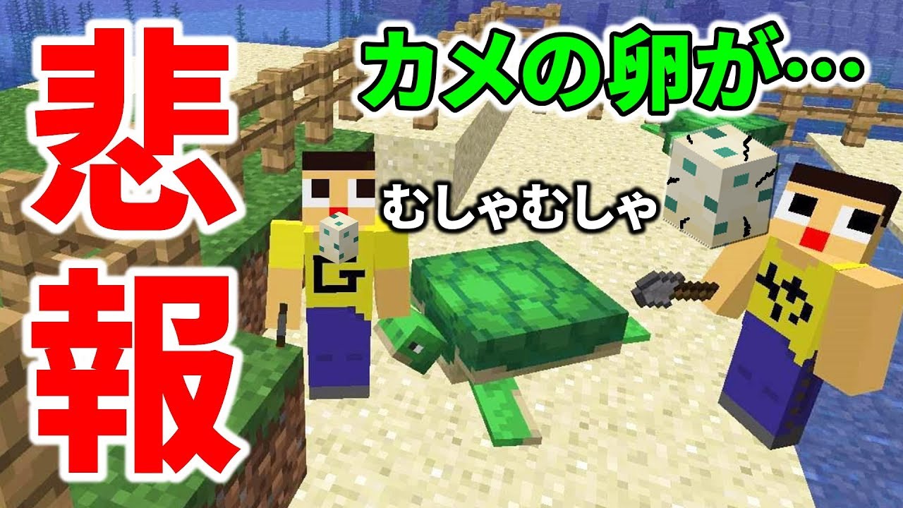 最高のマインクラフト 綺麗な亀 マイクラ 卵