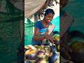 How To Make Nongu Sarbath Nongu Iceapplejuice Iceapple Juice Receipe Homemade Howto Tumtum 