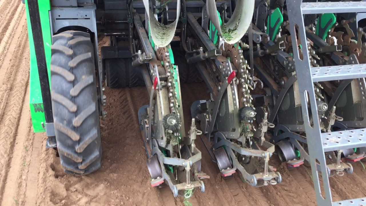 Transplanting Leeks UK PlantTape - YouTube