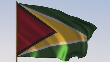 Guyana Flag | ROYALTY FREE [4K] 20 SEC LOOP