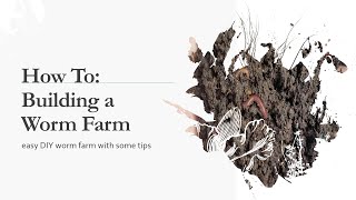 How to Make a Worm Farm and Some Tips by South Hill Compost 106 views 10 months ago 11 minutes, 33 seconds