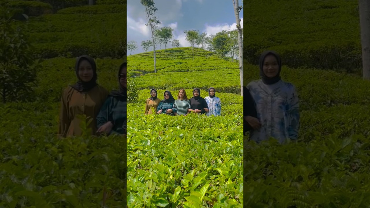 JEEP WISATA DI KEMUNING SERUU 💯💯💫 