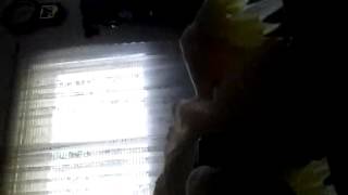 VID_20120311_162540.3gp