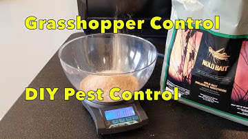 how to prevent and kill Grasshoppers.  DIY review and how to apply Nolo Bait.  Organic gardening tip