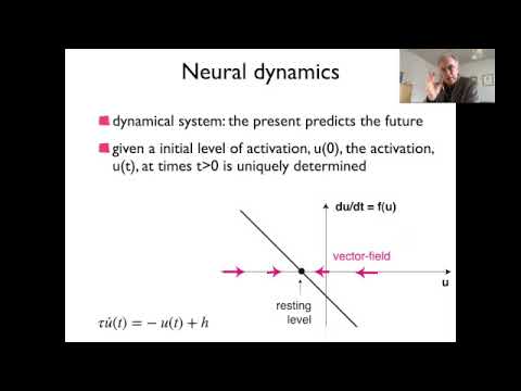 Neural dynamics